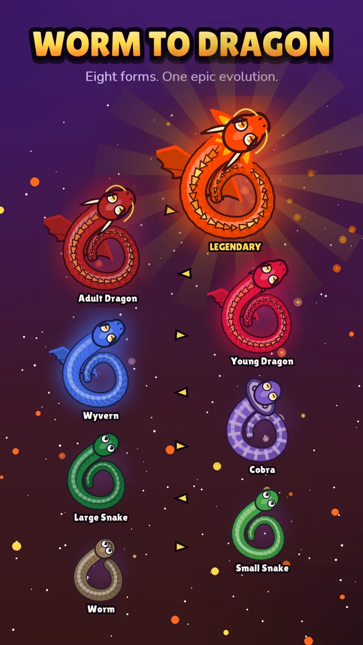 Worm to dragon: all eight forms